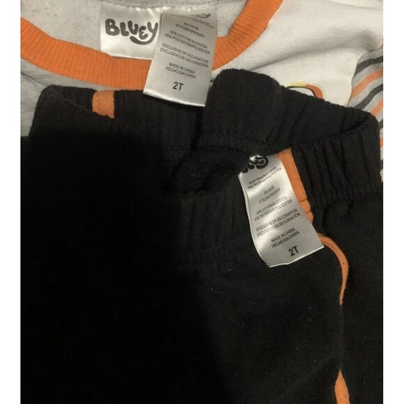 2T Toddler Boys' Bluey and Bingo Halloween Top and Bottom Set Grey - Picture 4 of 5
